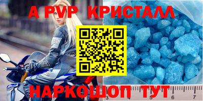 молекула духа Будённовск