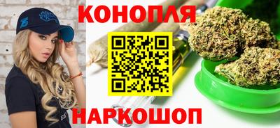 молекула духа Будённовск