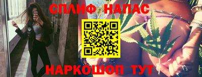 молекула духа Будённовск