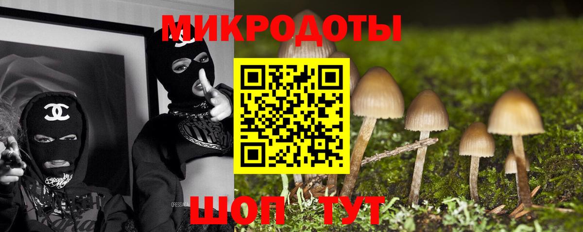 Галлюциногенные грибы Magic Shrooms  магазин продажи   Асино  Вход с VPN 